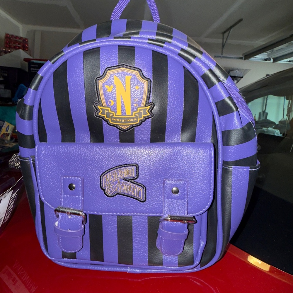 Purple and Black Striped Backpack